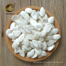 Good Quality Snow White Pumpkin Seeds for Sale